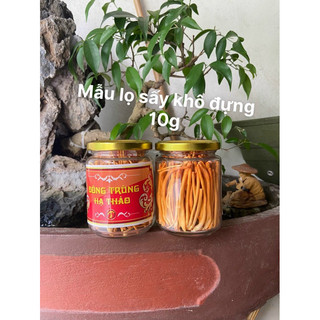 Đông trùng hạ thảo khô sấy thăng hoa loại VIP mẫu lọ 10g