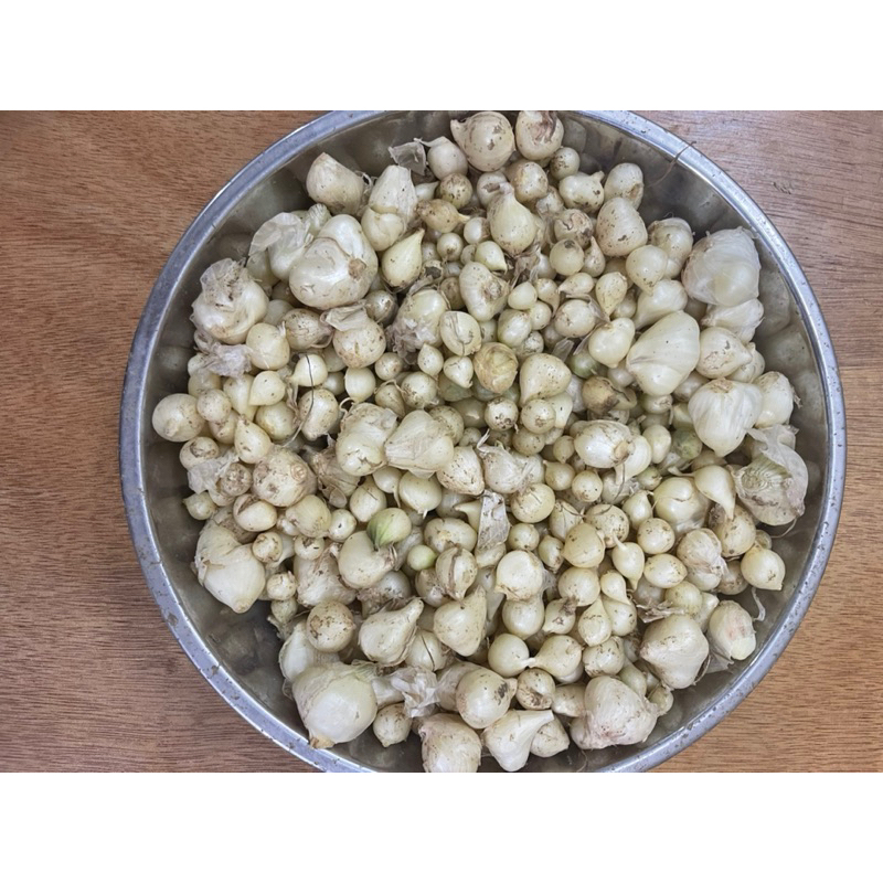 500g Hành tăm Nghệ An (củ nén)