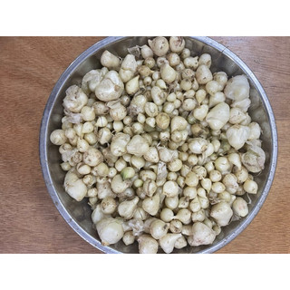 500g Hành tăm Nghệ An (củ nén)