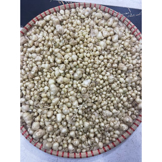 500g Hành tăm Nghệ An (củ nén)