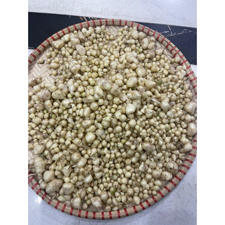 500g Hành tăm Nghệ An (củ nén)