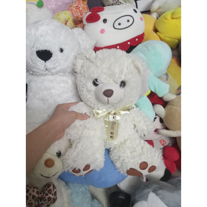 Gấu bông teddy size 25-50cm