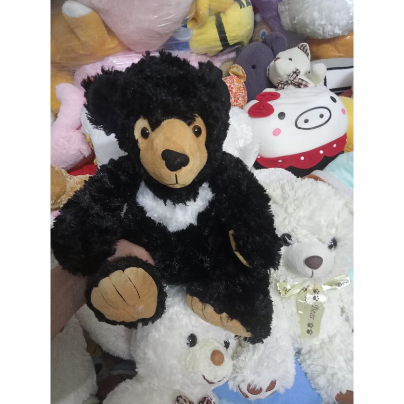 Gấu bông teddy size 25-50cm