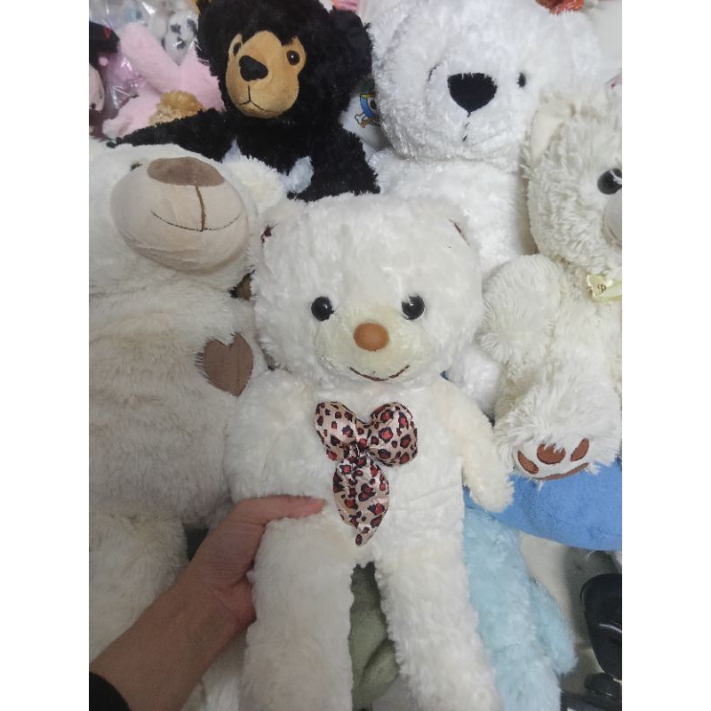 Gấu bông teddy size 25-50cm