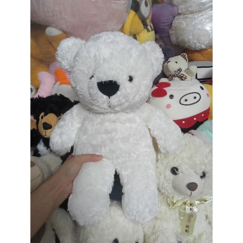 Gấu bông teddy size 25-50cm