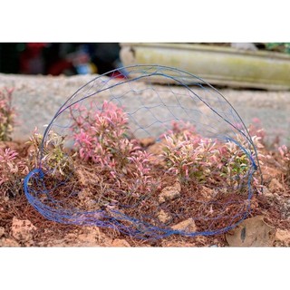 Cung chim cút bộ 10 cung lưới tàng hình 25cm