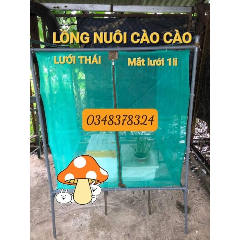 Lưới nuôi châu chấu , ruồi lính đen. 1x1x1m. Lưới Thái xanh 1mm