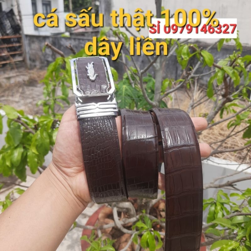 THẮT LƯNG NAM CÁ SẤU 100%. DÂY NỊT NAM DA CÁ SẤU THẬT NGUYÊN CON DA BUNG DÂY LIỀN