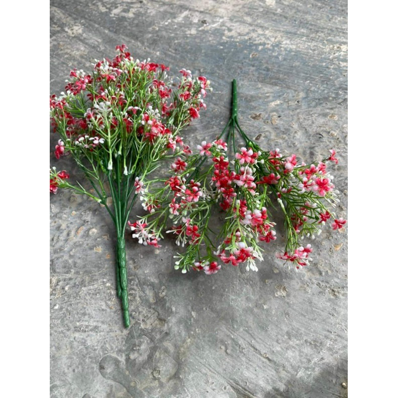 Cụm điểm baby cành 5 nhánh