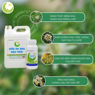 Siêu ra hoa 500ml - kích thích ra hoa cực mạnh, hoa ra đồng loạt, dưỡng hoa, tăng tỷ lệ đậu quả