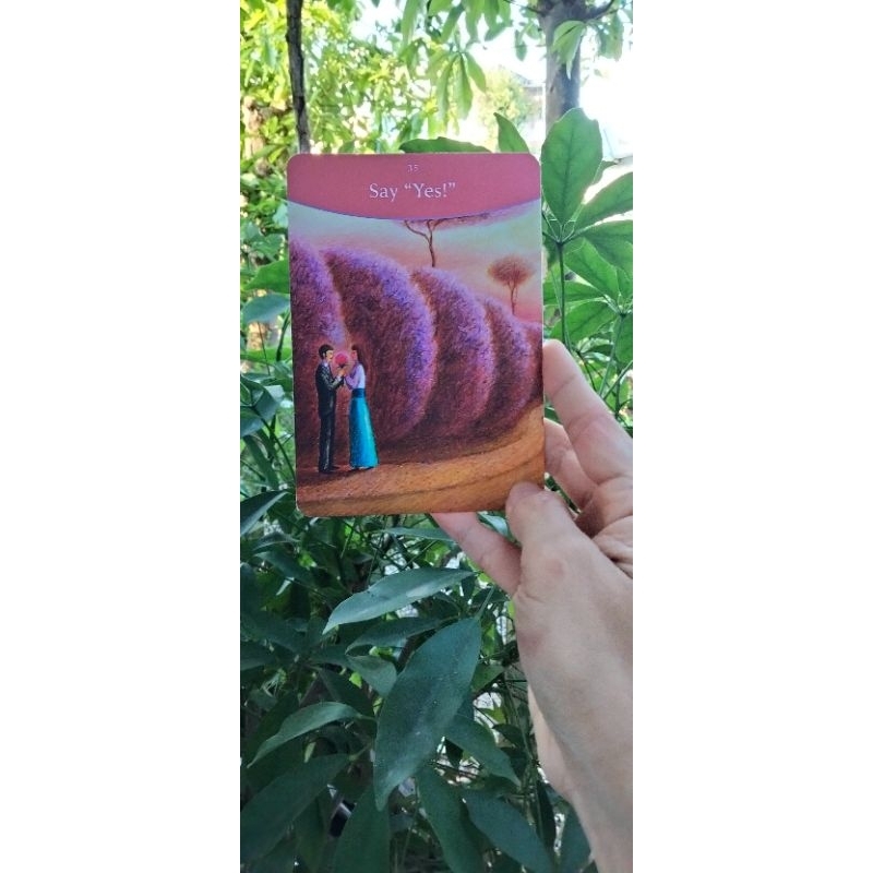 🌷💚THE ANSWER IS SIMPLE ORACLE CARDS ‼️‼️