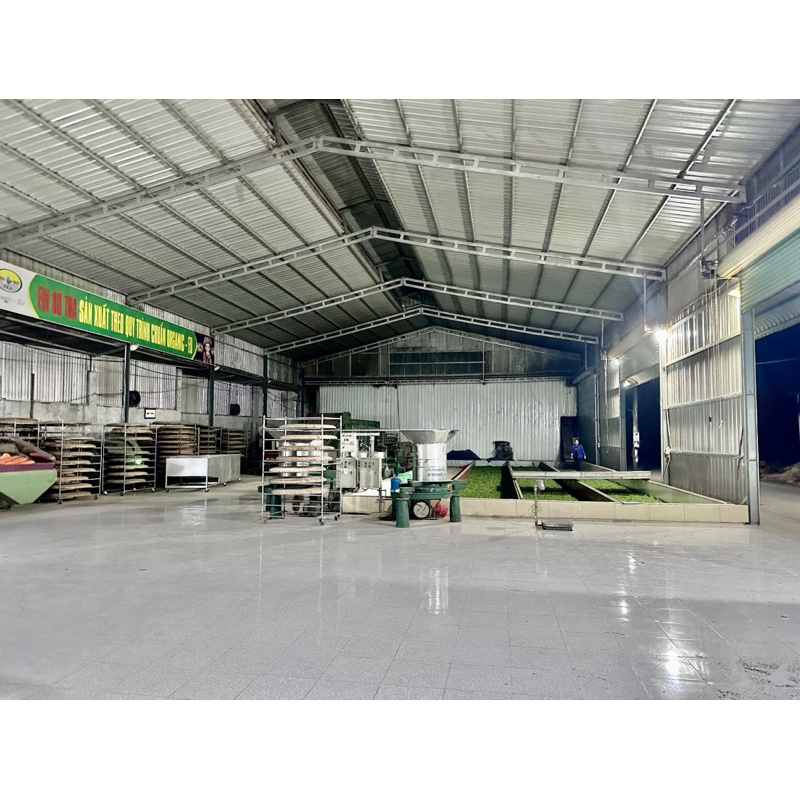 Trà Xanh Bà Cụ  - Hữu cơ Châu âu