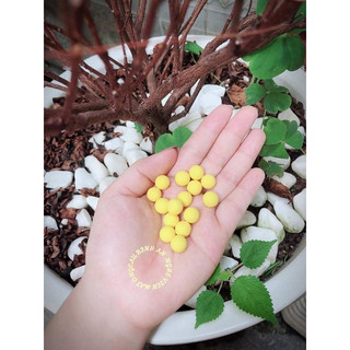 Nghệ viên mật ong phấn hoa Cầu Bình An