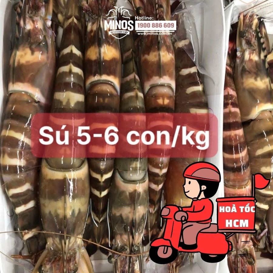 1kg Tôm sú mẹ khổng lồ MINOS (5-6 con/kg) I MINOS SEAFOOD
