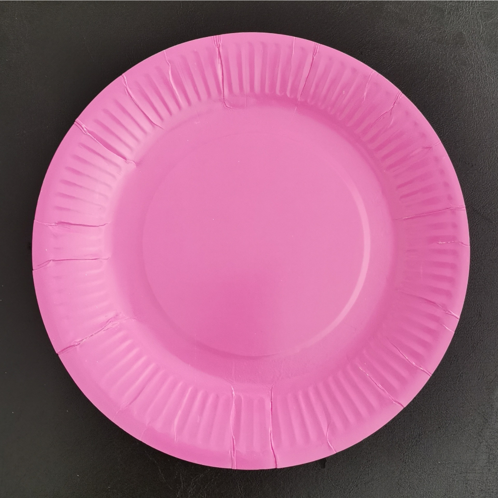 set 10 đĩa giấy bày đồ ăn tại các bữa tiệc, dã ngoại, vẽ thủ công sáng tạo...