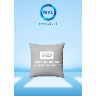 Qùa tặng bộ gối mền 2in1 wd