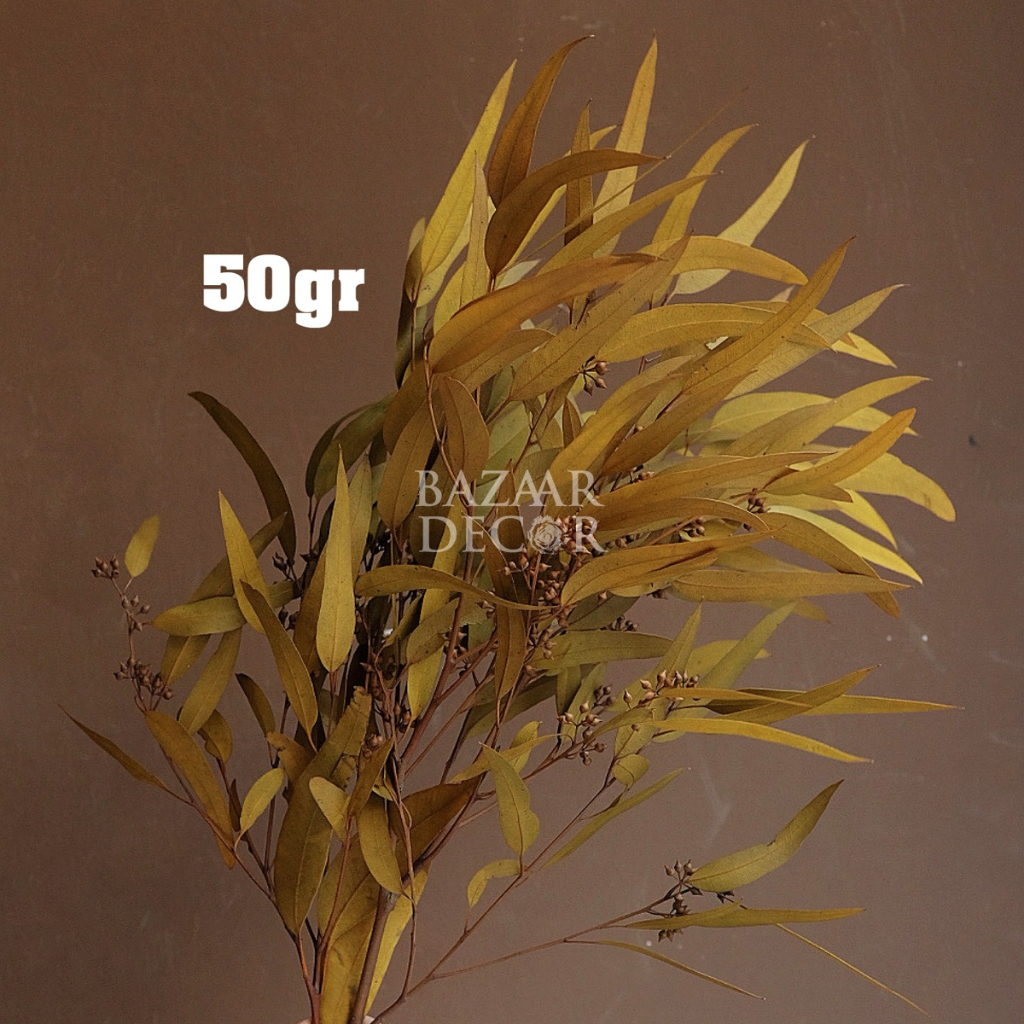 Cành lá bạch đàn sấy khô nguyên cành 60cm màu xanh | Hoa khô Eucalyptus