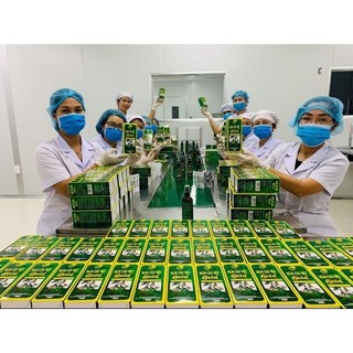 Tinh dầu xoa bóp ngải cứu việt gold dạng xịt tiện lợi