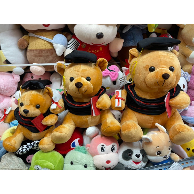 GẤU BÔNG TỐT NGHIỆP CỬ NHÂN (22cm -28cm -32cm)