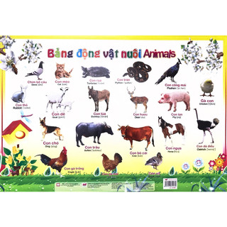Sách - Bảng động vật nuôi - động vật hoang dã