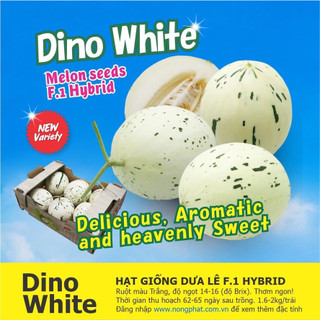 Hạt giống dưa lê sữa dino trắng - giống nhập khẩu f1