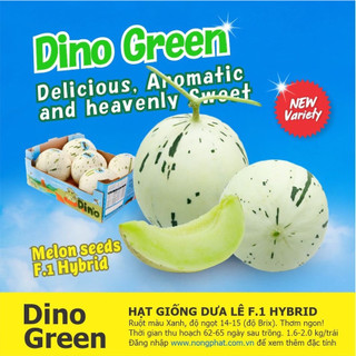 Hạt giống dưa lê sữa dino xanh - giống nhập khẩu f1