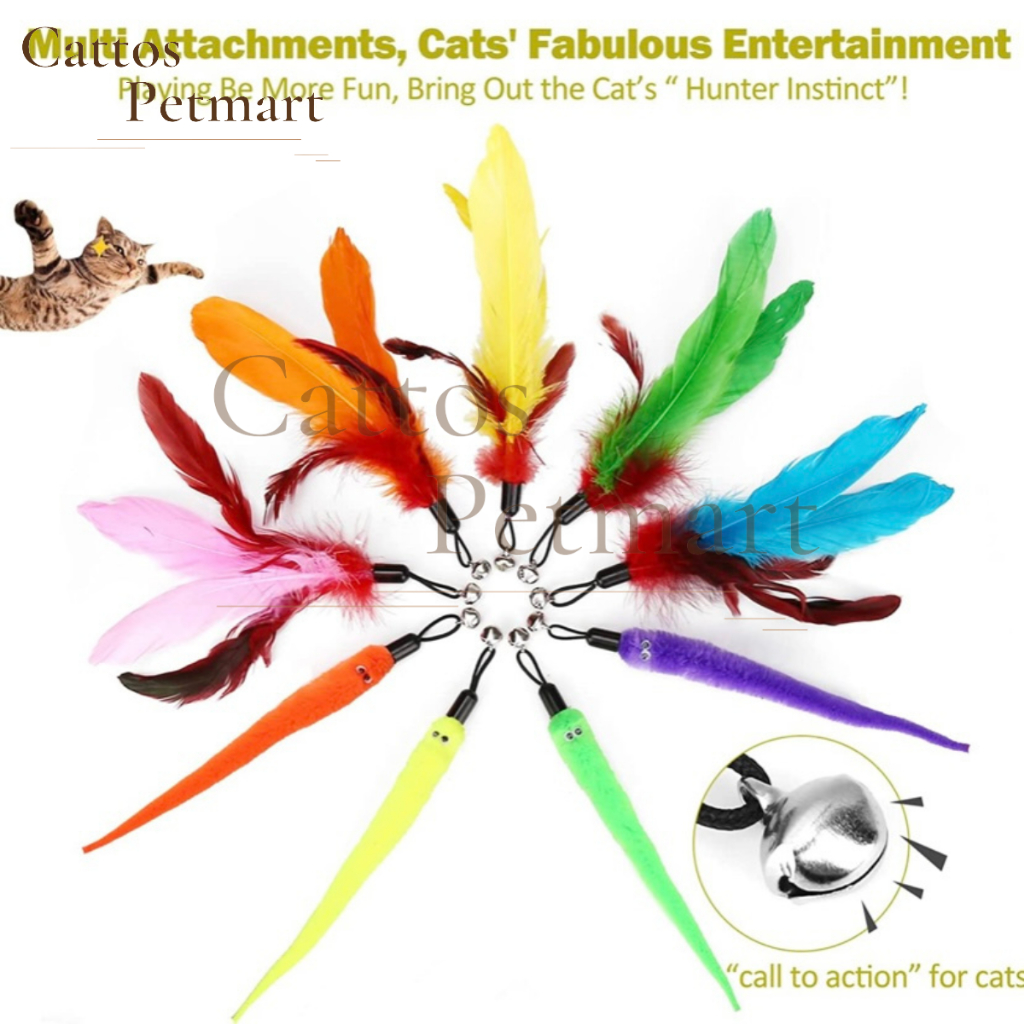 Đồ chơi cho mèo đồ chơi cầu câu mèo lông vũ mèo nghịch ngợm CATTOS PETMART