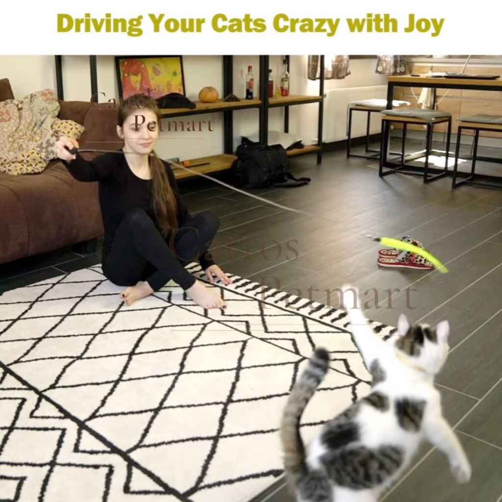 Đồ chơi cho mèo đồ chơi cầu câu mèo lông vũ mèo nghịch ngợm CATTOS PETMART