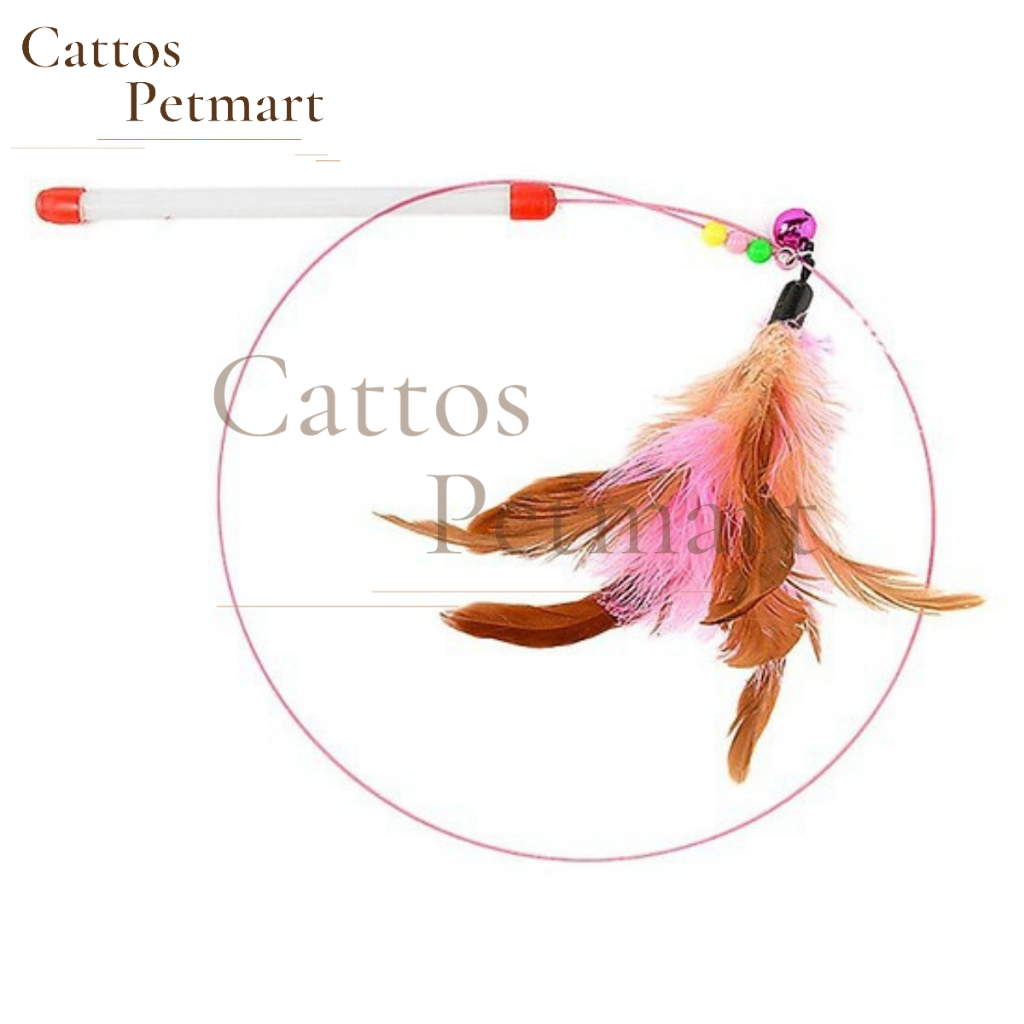 Đồ chơi cho mèo đồ chơi cầu câu mèo lông vũ mèo nghịch ngợm CATTOS PETMART