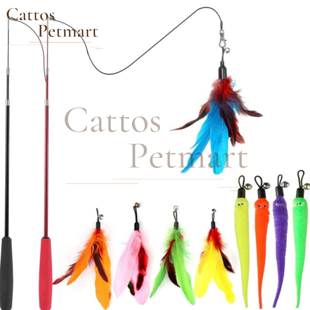 Đồ chơi cho mèo đồ chơi cầu câu mèo lông vũ mèo nghịch ngợm CATTOS PETMART