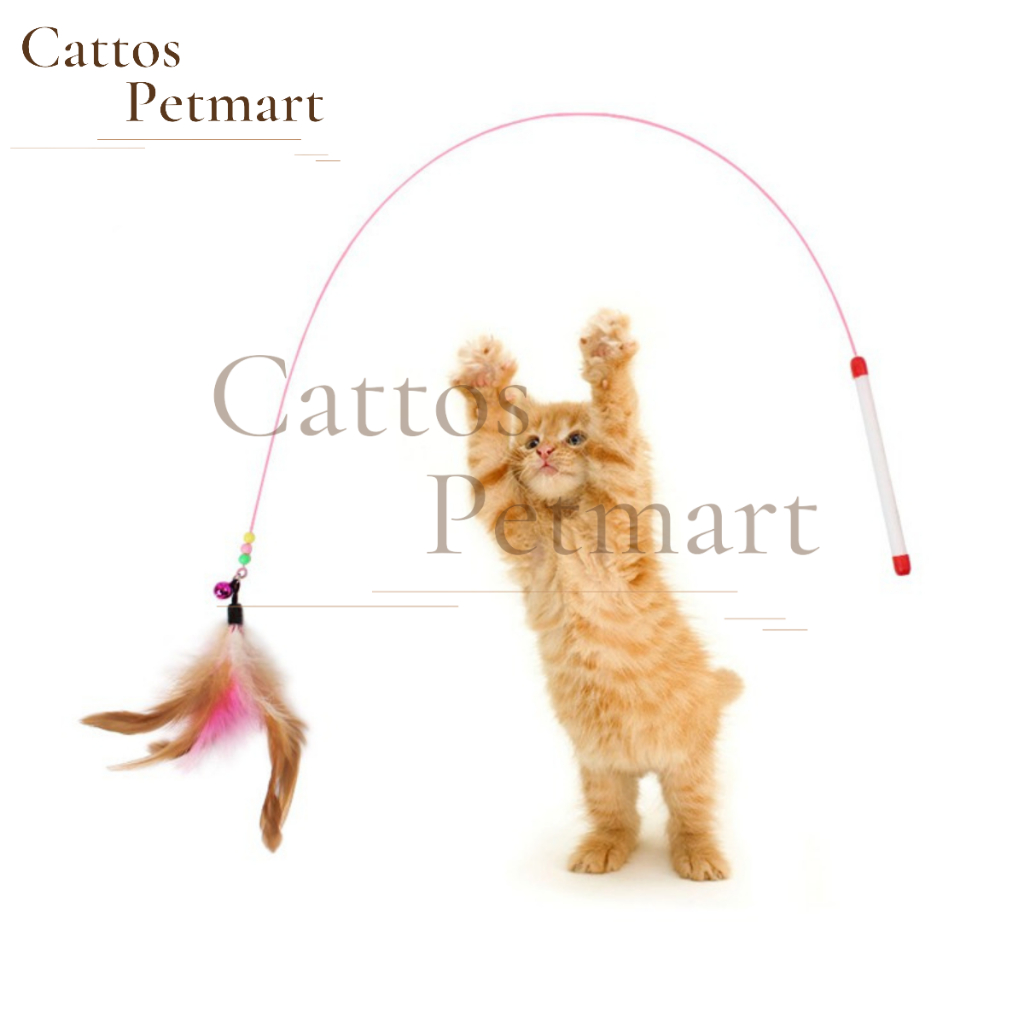 Đồ chơi cho mèo đồ chơi cầu câu mèo lông vũ mèo nghịch ngợm CATTOS PETMART