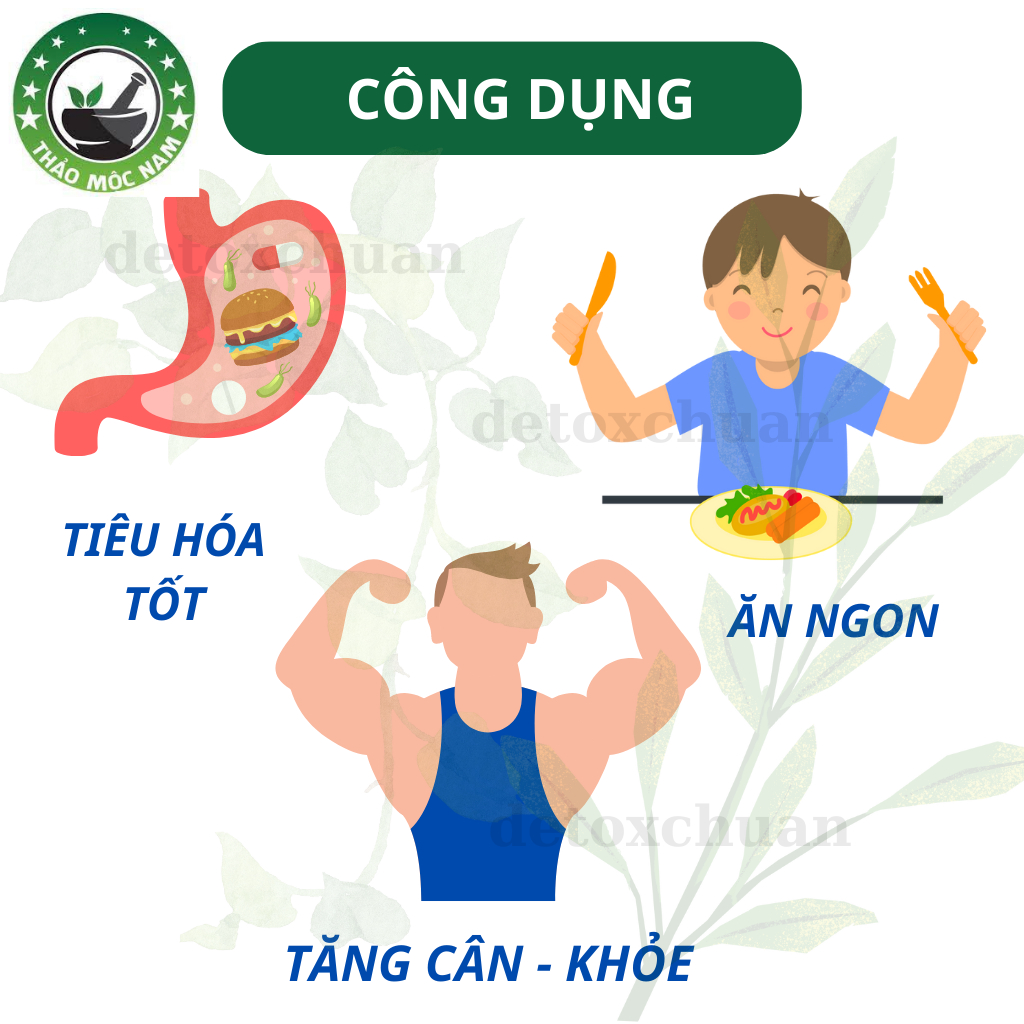 Sâm Bổ Kiện Thảo Mộc Nam Tăng Cân, Ăn Ngon Hộp 40 Viên Tặng Rau Củ