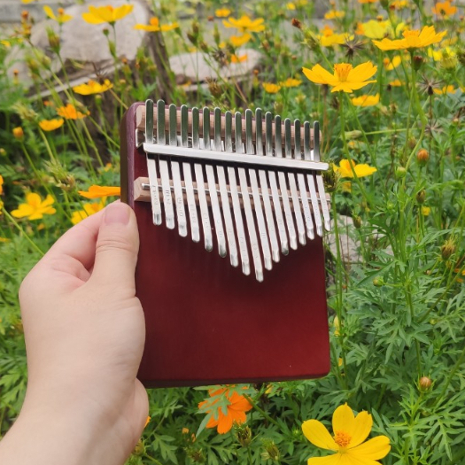 ĐÀN KALIMBA MINI 17 PHÍM MÀU NÂU CHO BÉ MỚI TẬP CHƠI GIÁ RẺ BỀN ĐẸP ÂM HAY