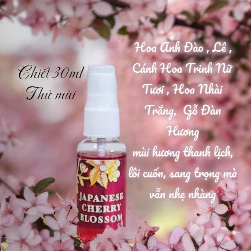 Sữa tắm body mist Bath & body work Japanese Cherry Blossom