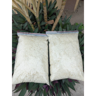 Bột bông tuyết câu cá