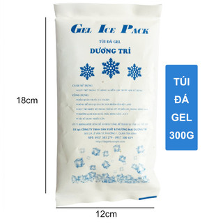 Túi đá gel đá khô giữ lạnh 300g bảo quản sữa, thực phẩm, kem, socola