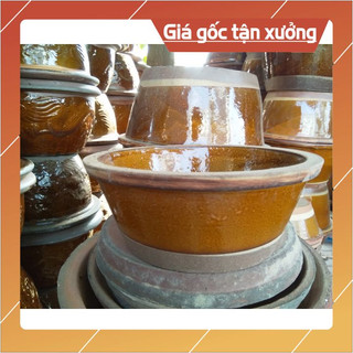 Chậu  nuôi cá, bể nuôi cá mini