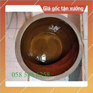 Chậu nuôi cá cảnh, diệm sưa, bể nuôi cá cảnh mini, chậu cây độc lạ