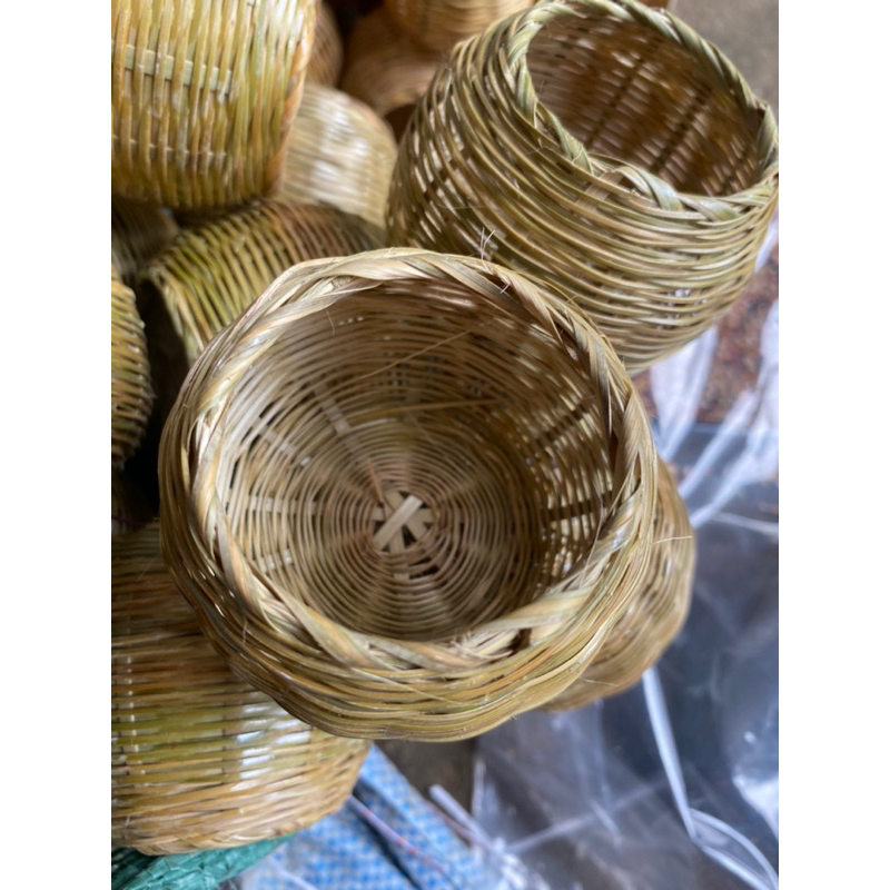 Cóng tre cho chim ăn