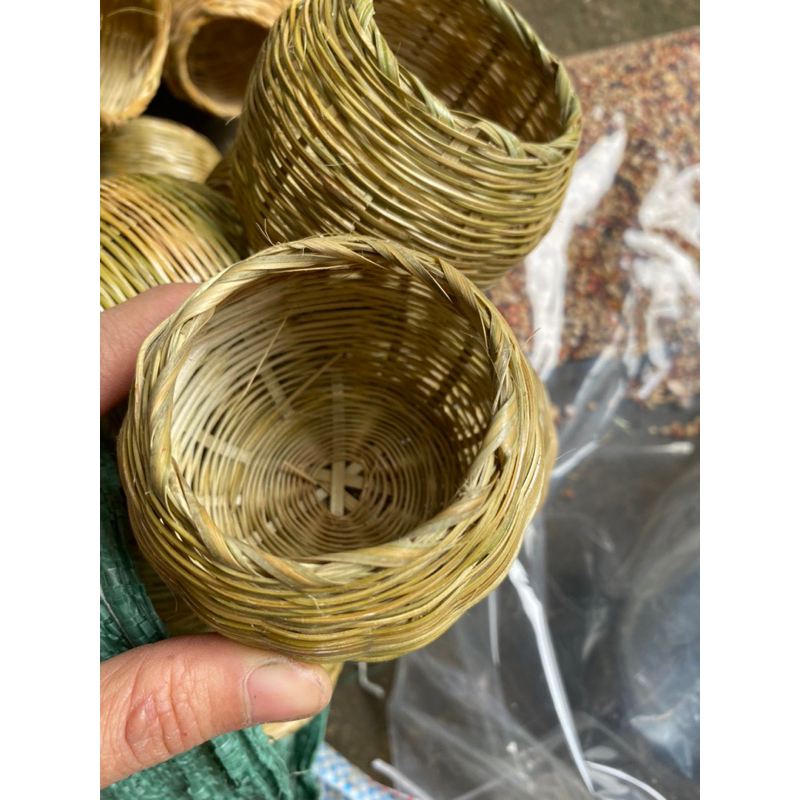 Cóng tre cho chim ăn