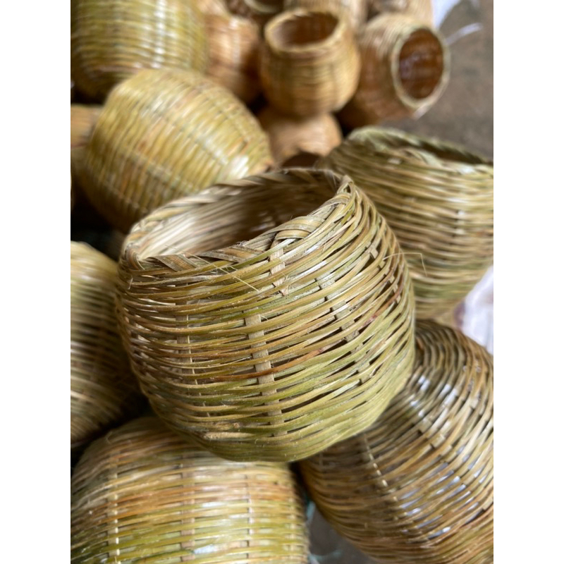 Cóng tre cho chim ăn