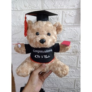 Gấu tốt nghiệp, Gấu cử nhân, áo gấu có chữ Congratulations, không in thêm tên