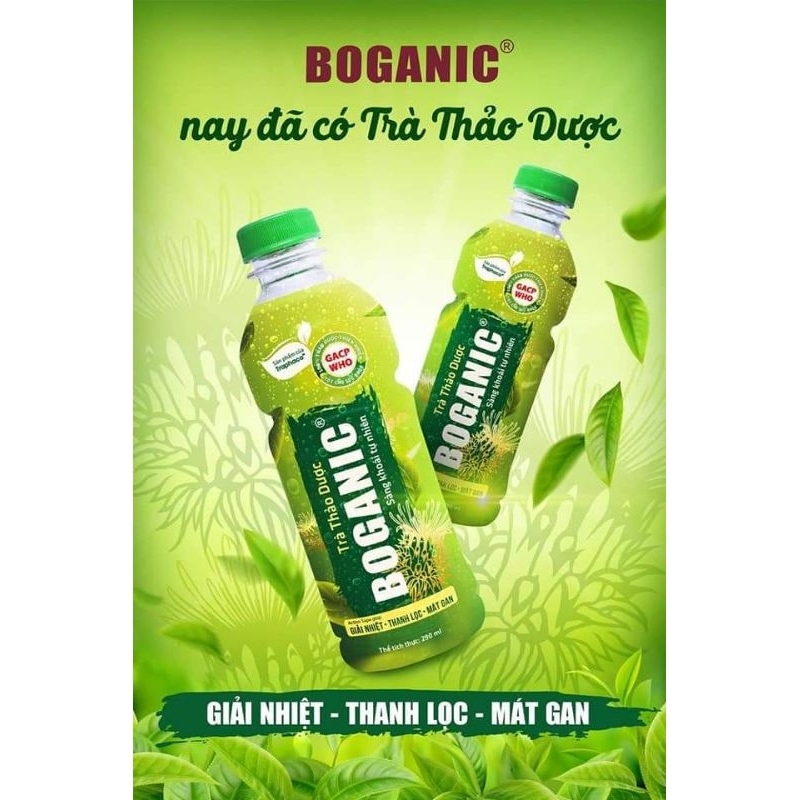 Trà thảo dược BOGANIC nhãn hiệu chăm sóc gan số 1 của công ty dược Traphaco hỗ trợ thanh nhiệt cơ thể lọc &amp; thải độc gan