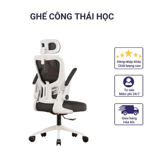 Ghế công thái học ghế bàn làm việc công thái học bảo vệ cột sống