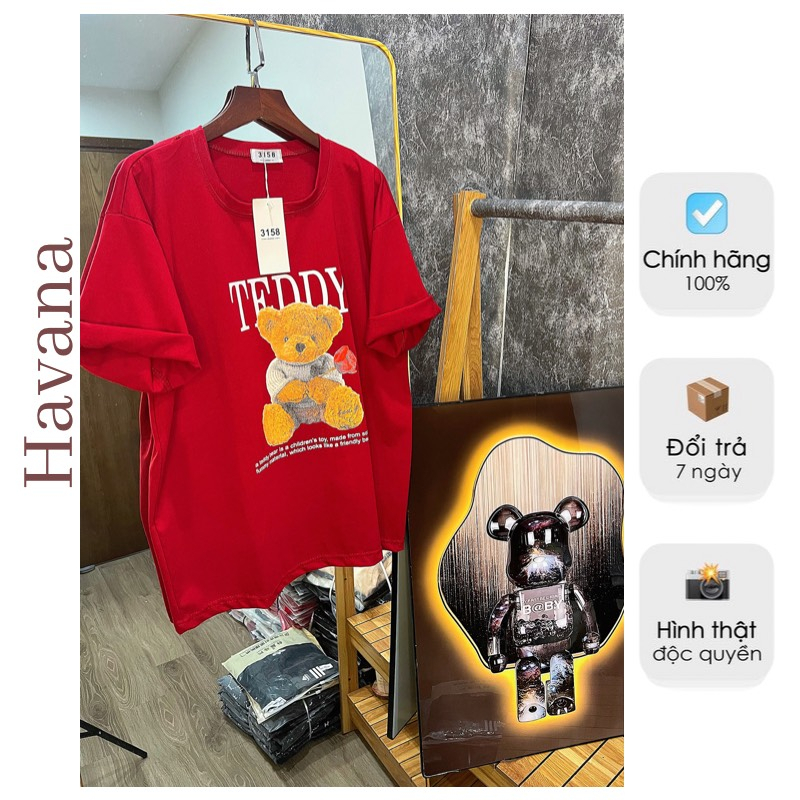 [Tặng quần Legging] Áo thun nữ gấu Teddy Havana form rộng cotton khô 100%, Áo thun cộc tay Havana Un