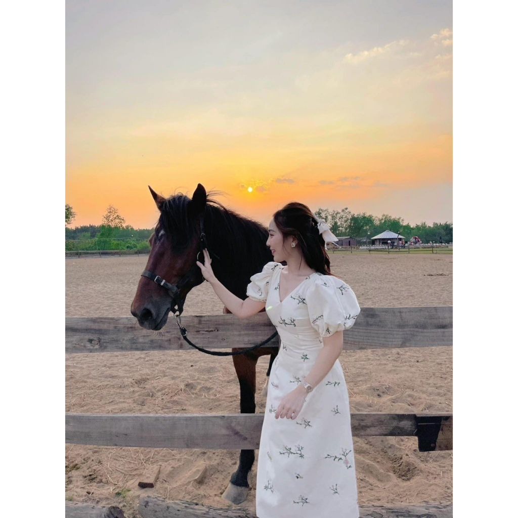 Đầm dạo phố dáng dài hoa thêu dịu dàng - SOA dress