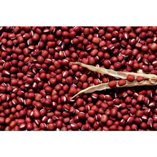 1kg Đậu đỏ hạt nhỏ