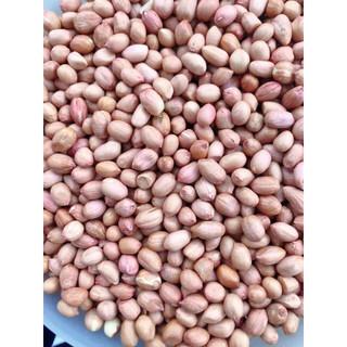 1kg Đậu Phộng sống