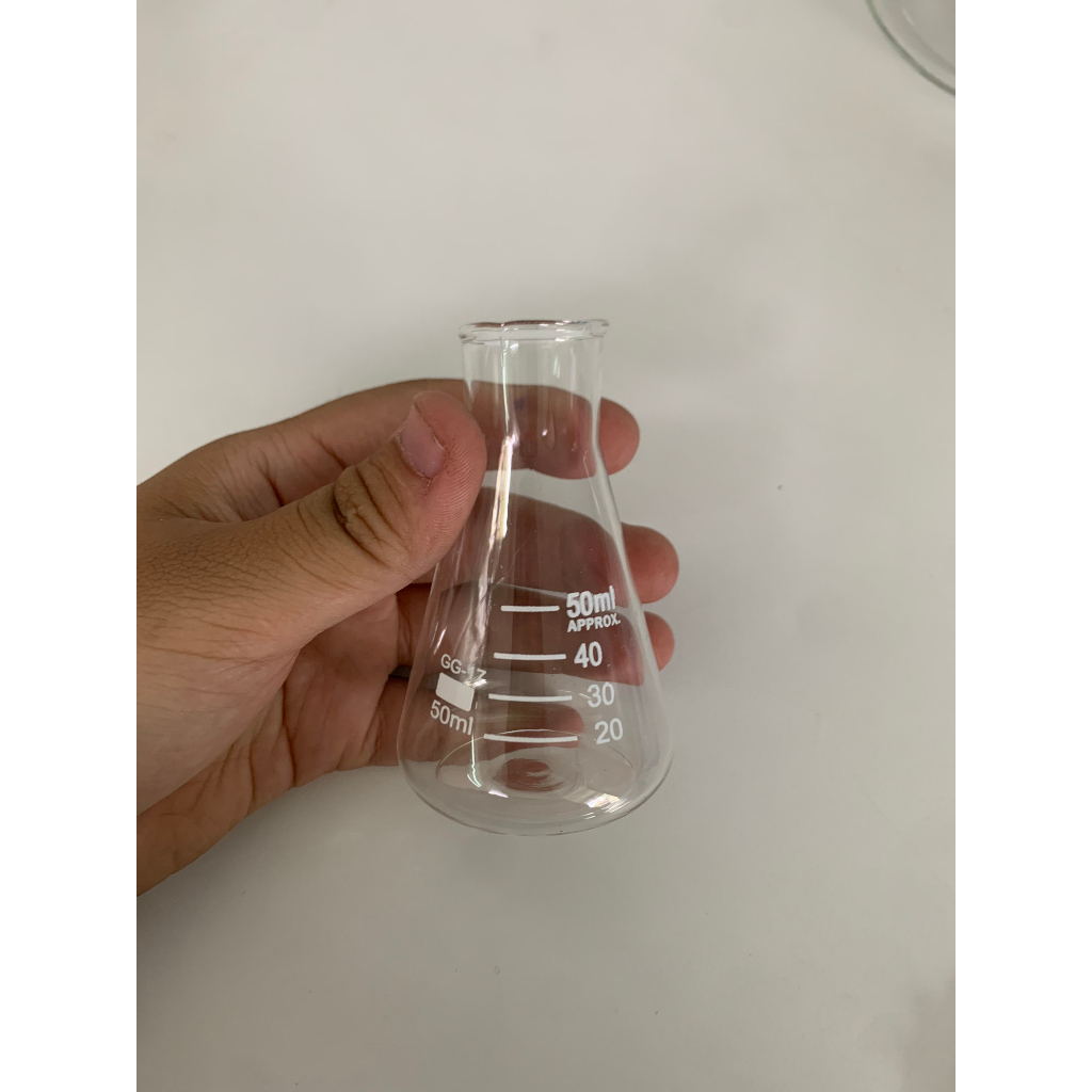 Bình tam giác thủy tinh 50ml 100ml 250ml 500ml 1000ml