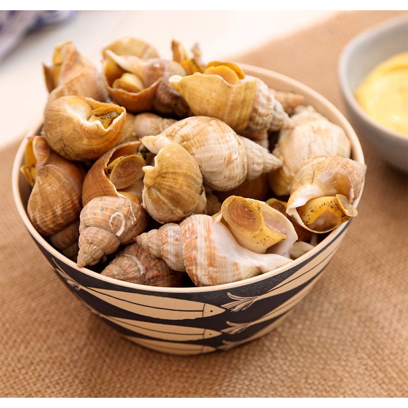 Ốc Bulot Pháp túi 1kg